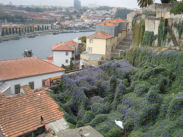 Former houses, now abandoned