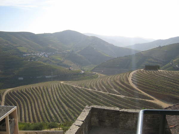 Sandeman's Quinta de Seixo