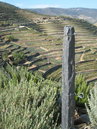 Sandeman's Quinta de Seixo