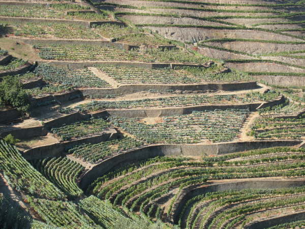 Sandeman's Quinta de Seixo