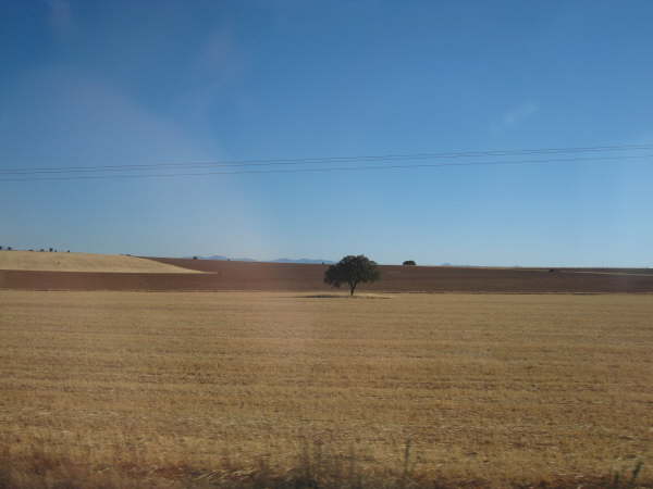 Very flat countryside on the way to Salamanca