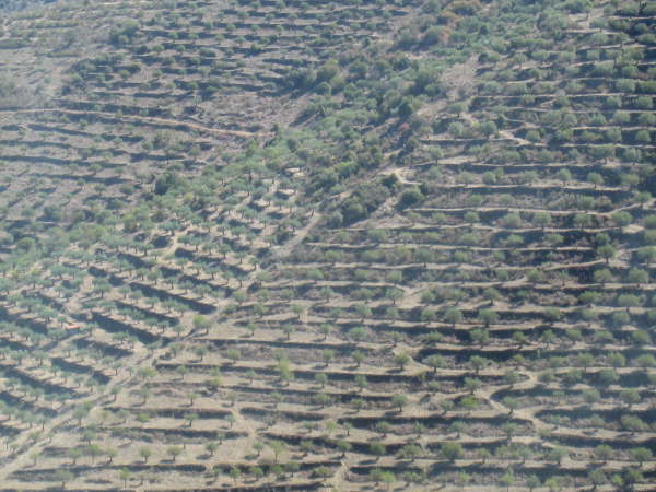 Near Castelo Rodrigo