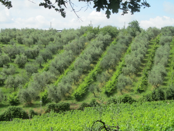 Villa Poggi Torselli, San Casciano
