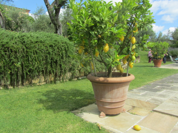 Villa Poggi Torselli, San Casciano