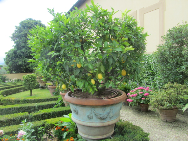 Villa Poggi Torselli, San Casciano