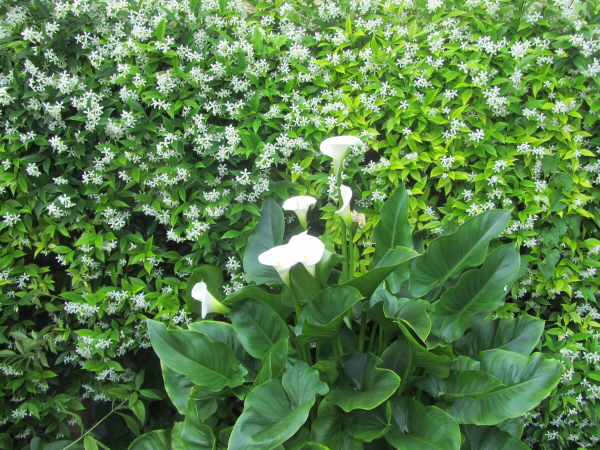 Villa Poggi Torselli, San Casciano