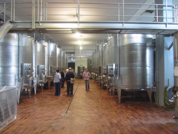 Winery at Villa Vignamaggio, Greve in Chianti
