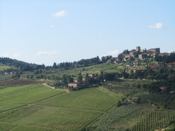 Panzano from the hotel