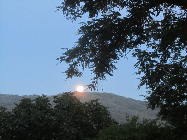 Moonrise at the hotel