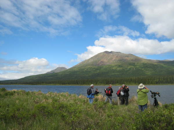 Alaska Highway, near Denali National Park