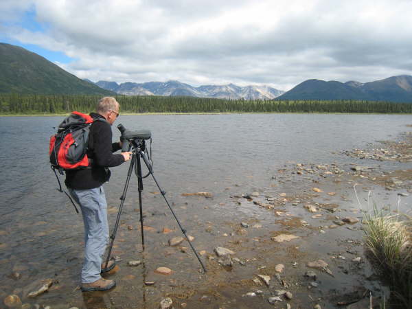 Alaska Highway, near Denali National Park