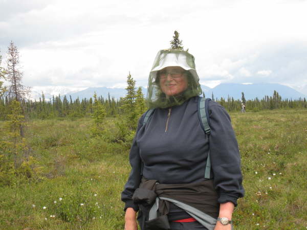 Alaska Highway, exploring the tundra