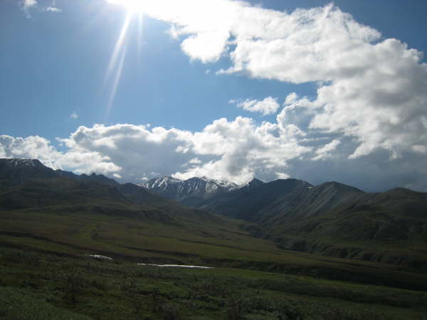 Denali National Park