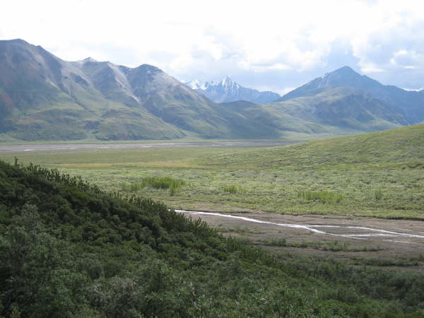 Denali National Park