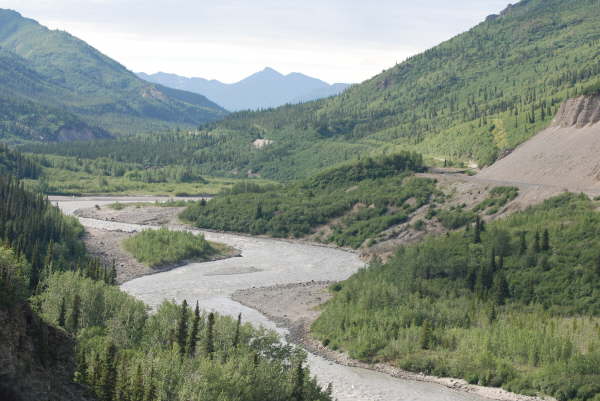 Denali National Park