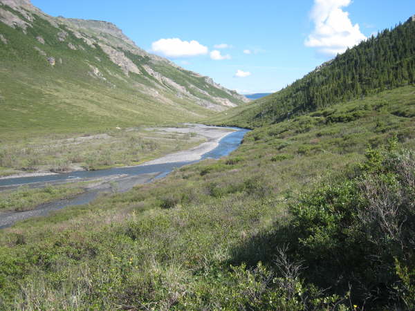 Denali National Park