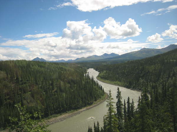 Alaska Railroad: from Denali to Anchorage