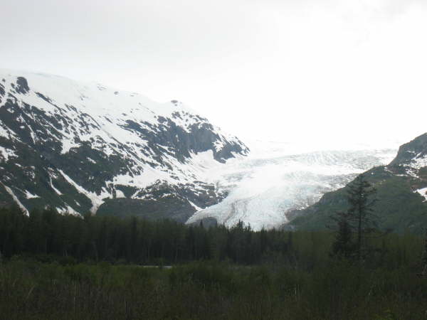 Exit Glacier