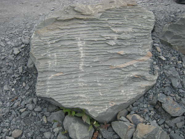 Rock near Exit Glacier