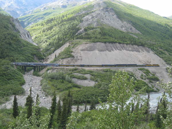 Train near Denali National Park