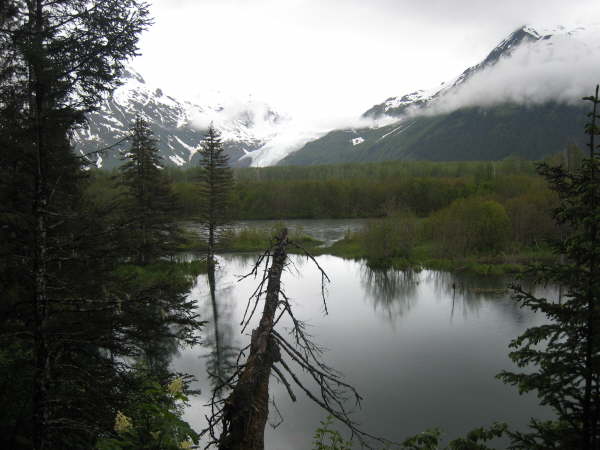 Looking across to Exit Glacier
