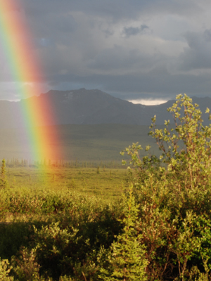 rainbow at Earthsong Lodge