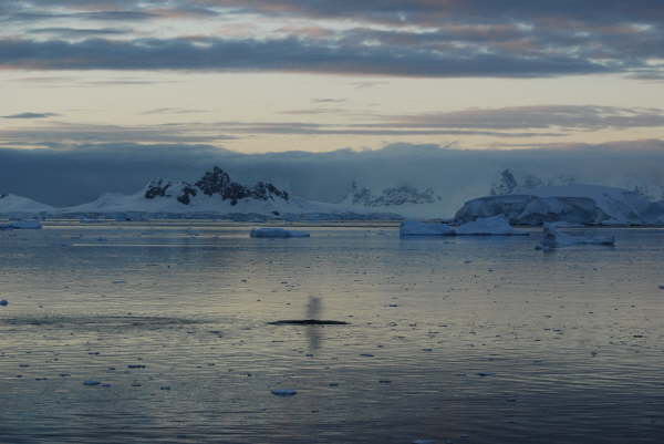 Wilhelmina Bay, Antarctic Peninsula - 64 deg 40 min South