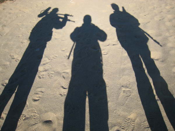 Birdwatching in Ushuaia