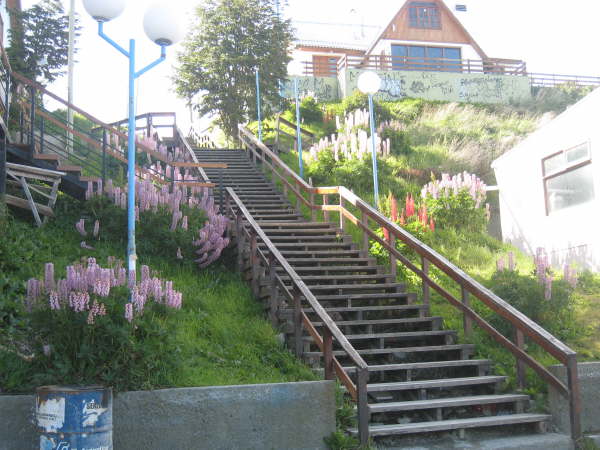 Ushuaia - a reminder that it is summer