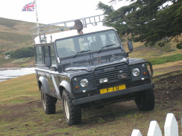 Striated caracara on Land Rover on Westpoint Island