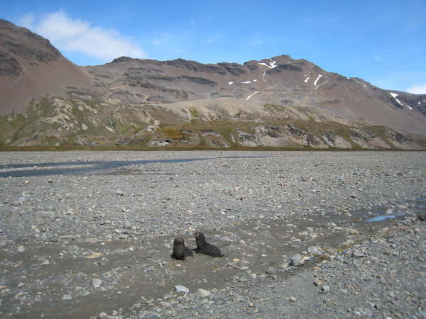 South Georgia, Stromness
