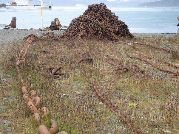 Grytviken whaling station, abandoned in the 1960s