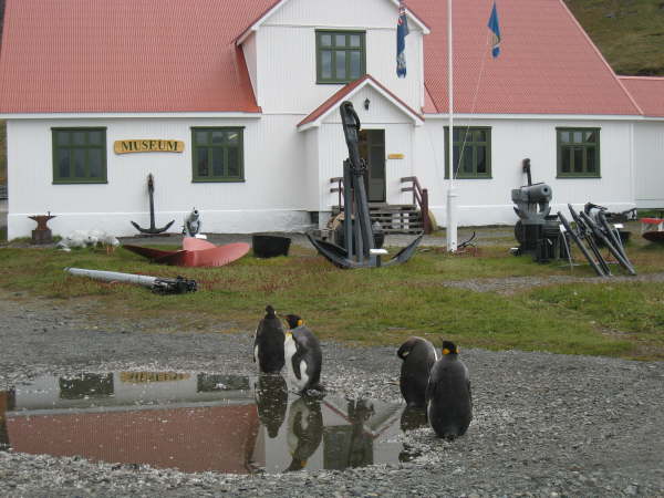 South Georgia, Grytviken Museum