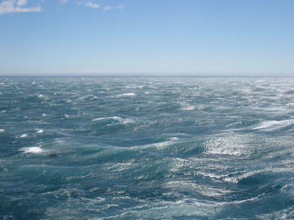 Heavy seas off Grytviken, South Georgia