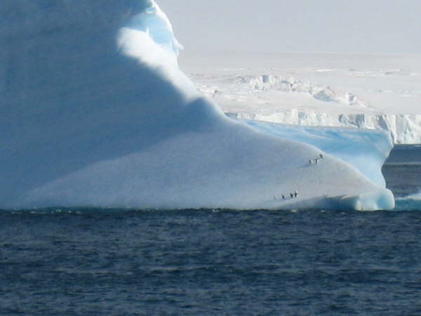 En route to the Antarctic Peninsula