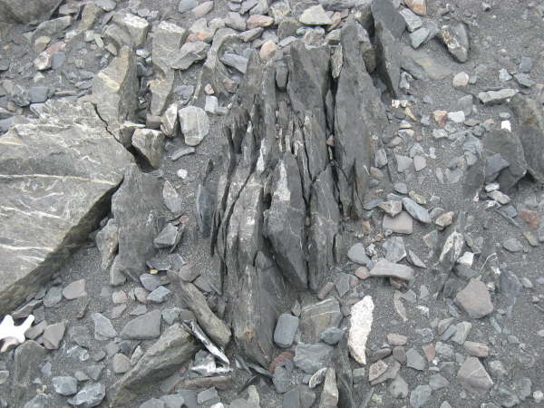 View Point, Antarctic Peninsula