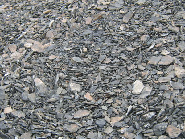 View Point, Antarctic Peninsula