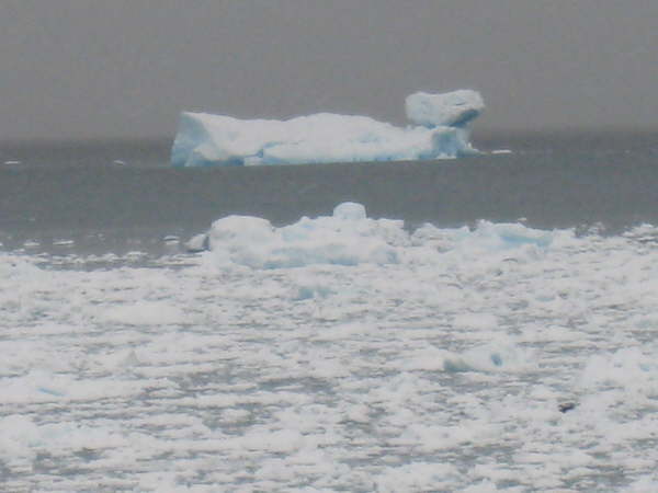 Brash ice off View Point, Antarctic Peninsula