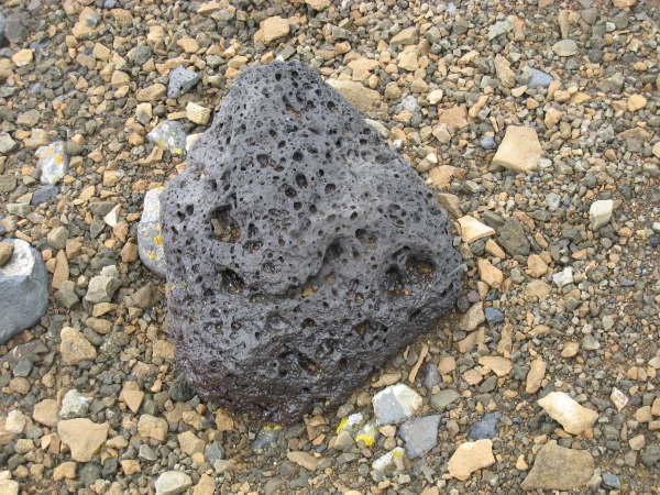 Devil Island, Antarctic Peninsula (Adelie Penguin colony)