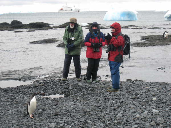 Brown Bluff, Antarctic Peninsula (Adelie Penguin colony)