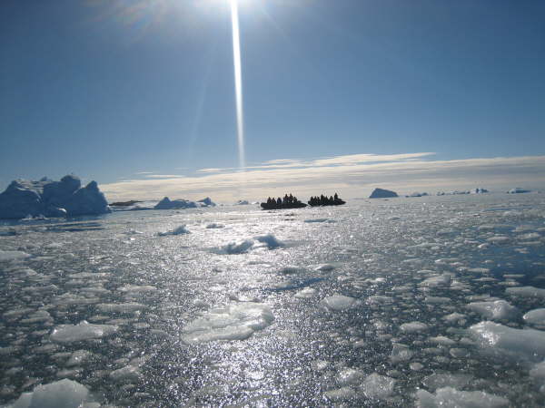 Cievra Cove, Antarctic Peninsula