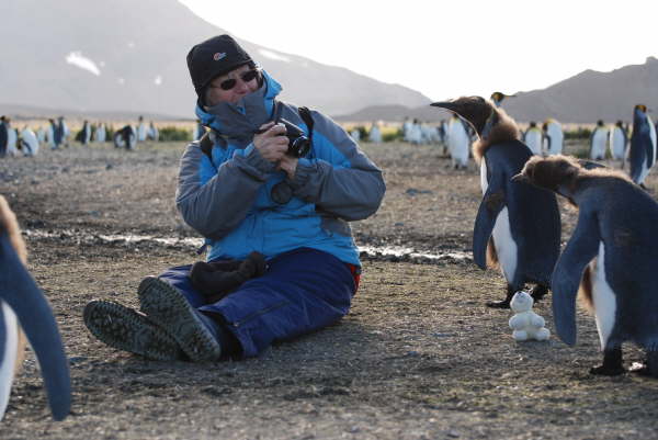 South Georgia, Salisbury Plain