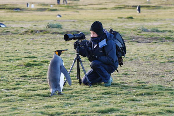 Sara and King Penguin