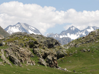 Pyrenees