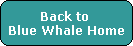 Back to 
Blue Whale Home
