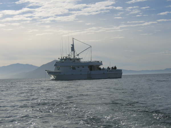 Spirit of Adventure