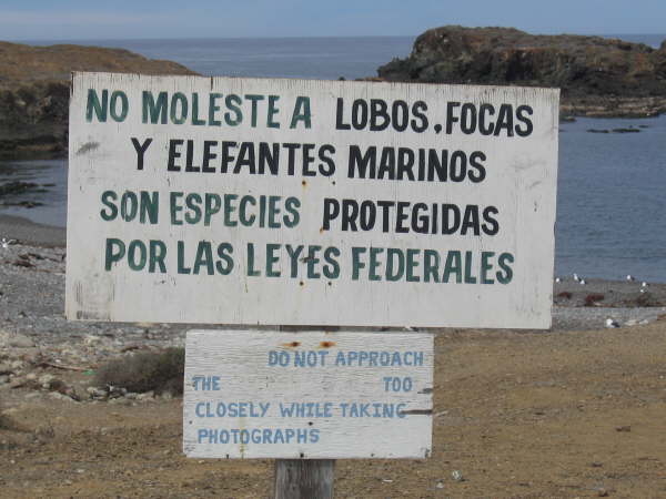 Sign at elephant seal colony