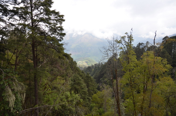 Yet another stunning view