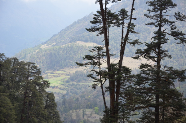 Yet another stunning view