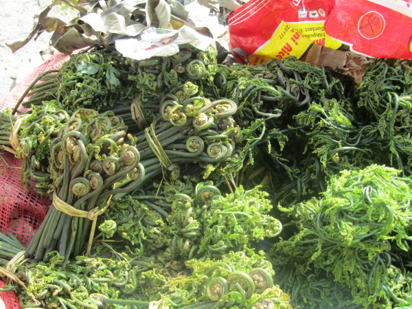 Market at Paro - fern fronds (which taste like asparagus)